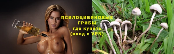 mdpv Козловка
