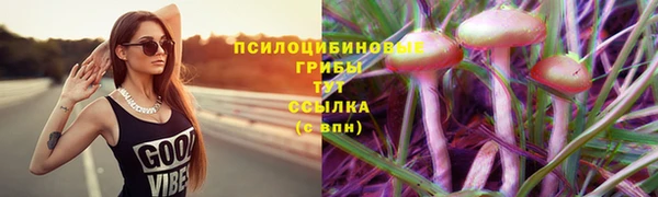 mdpv Козельск