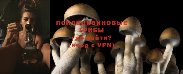 mdpv Козельск